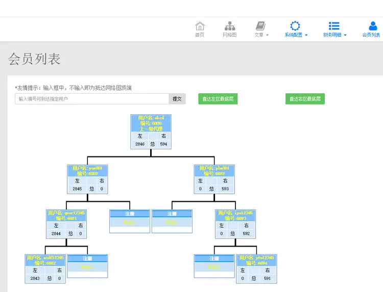 直销双轨系统