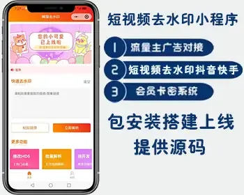 短视频去水印小程序,抖音/快手去水印小程序源码微信流量主