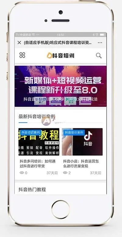 响应式抖音课程培训资讯类网站织梦模板 html5抖音培训新闻资讯网站（带手机版）