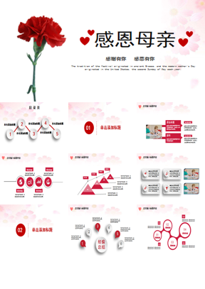 一束康乃馨背景的感恩母亲PPT模板下载