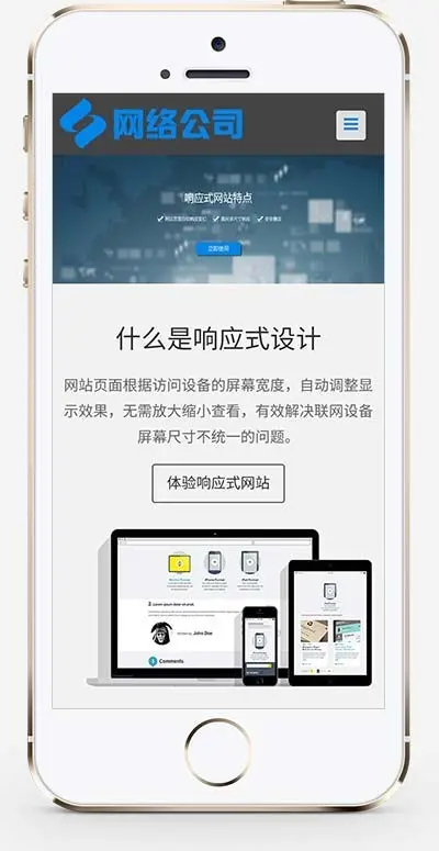 互联网公司企业网站源码 IT网络科技建站公司网站源码