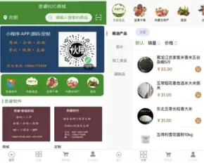 B2C完全自主多端商城