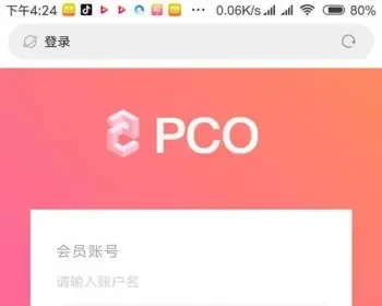 PCO区块链系统源码程序