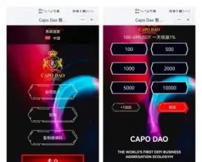 DAPP理财模式|钱包USDT加入|自动充提|智能量化