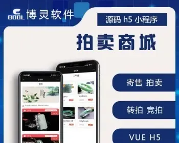 前端vue开发艺术品拍卖竞拍商城分场拍卖转拍小程序h5