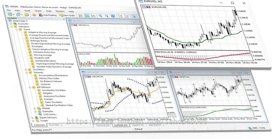 搭建 Trader4 外汇软件MT4正版小白标 crm系统mt4软件系统平台搭建维护