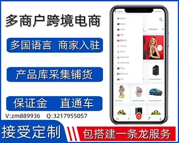 【稳定版】多商户跨境电商系统/多语言海外商城源码/直通车/保证金/后台下单/虚拟物流