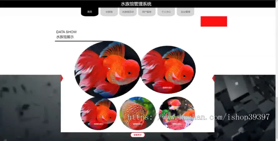 毕设java水族馆管理系统ssm jsp web2887毕业设计