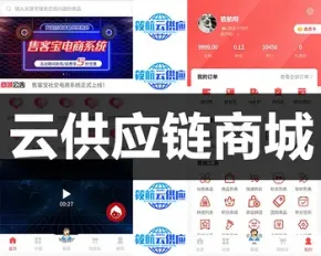 点大云供应链商城系统微信服务商分账正版坑位代搭建小程序三级分销团队分红DIY页面