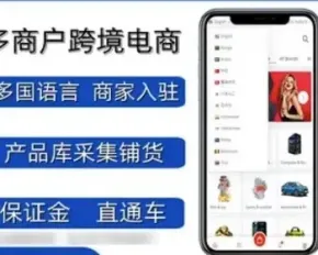 【运营版】多语言海外跨境电商商城支持多国语言插件导入一键铺货选品多商户入驻