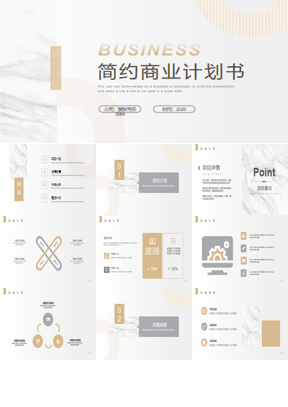 简约淡雅白金配色商业计划书PPT模板免费下载