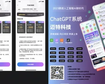 【正版授权】迈特AI助手chatgpt的全套智能创作saas源码系统