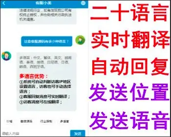 Ai智能客服系统无限坐席app小程序公众号H5即时通讯+教程+支持二十种语言