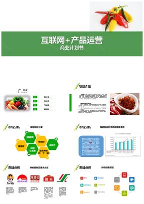 网络运营商业计划书PPT模板