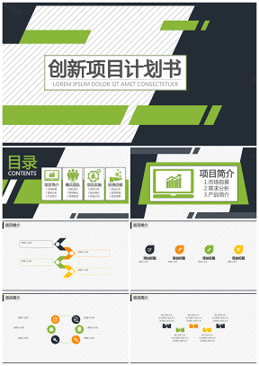 创新项目演讲计划书