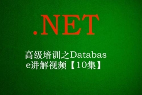 .NET高级培训之Database讲解视频【10集】