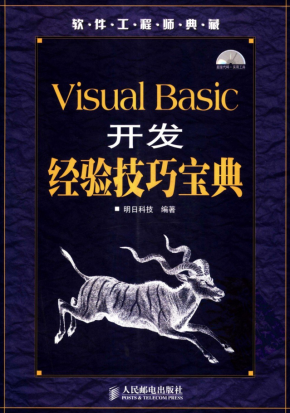 Visual Basic开发经验技巧宝典