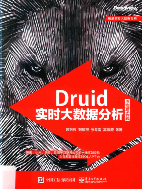 Druid实时大数据分析原理与实践.欧阳辰