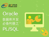 【动力节点】Oracle从入门到精通视频教程_数据库实战精讲