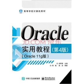 Oracle 10g备份与恢复视频教程（10集）