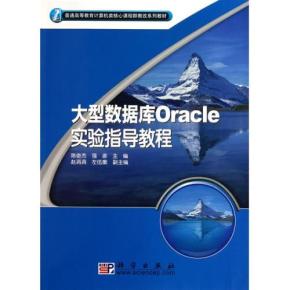 Oracle 11g最佳培训教程PPT（31部分）