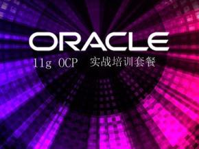 Oracle ACE盖国强个人专著系列丛书