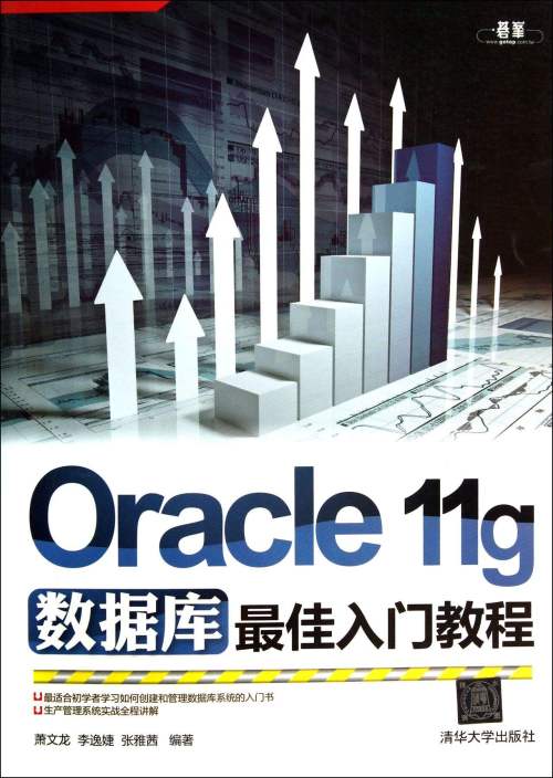 ORACLE内部培训教学视频（22讲）