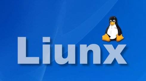 王锐学习linux服务器应用个人总结