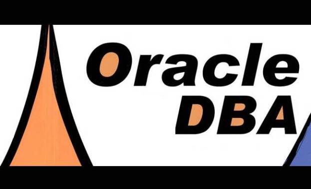 Oracle DBA 数据库优化视频教程（共2套）