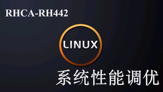 RHCA-RH442-Linux系统性能调优