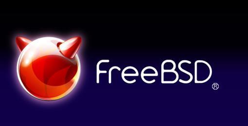 FreeBSD.6.2服务器架设视频教程下载