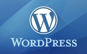 WordPress网站的SEO优化视频教程【13讲】