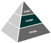 CCNP 视频 2014 经典完整版（黑眼）