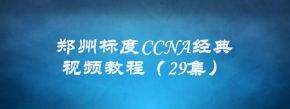 郑州标度CCNA经典视频教程（29集）