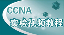 SPOTO CCNA实验培训高清视频教程