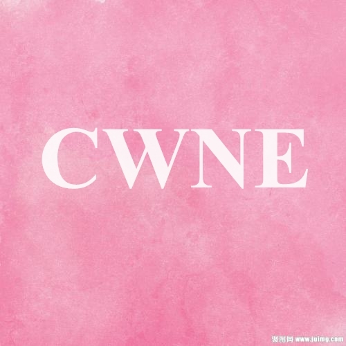 CWNE认证无线网络专家英文视频教程